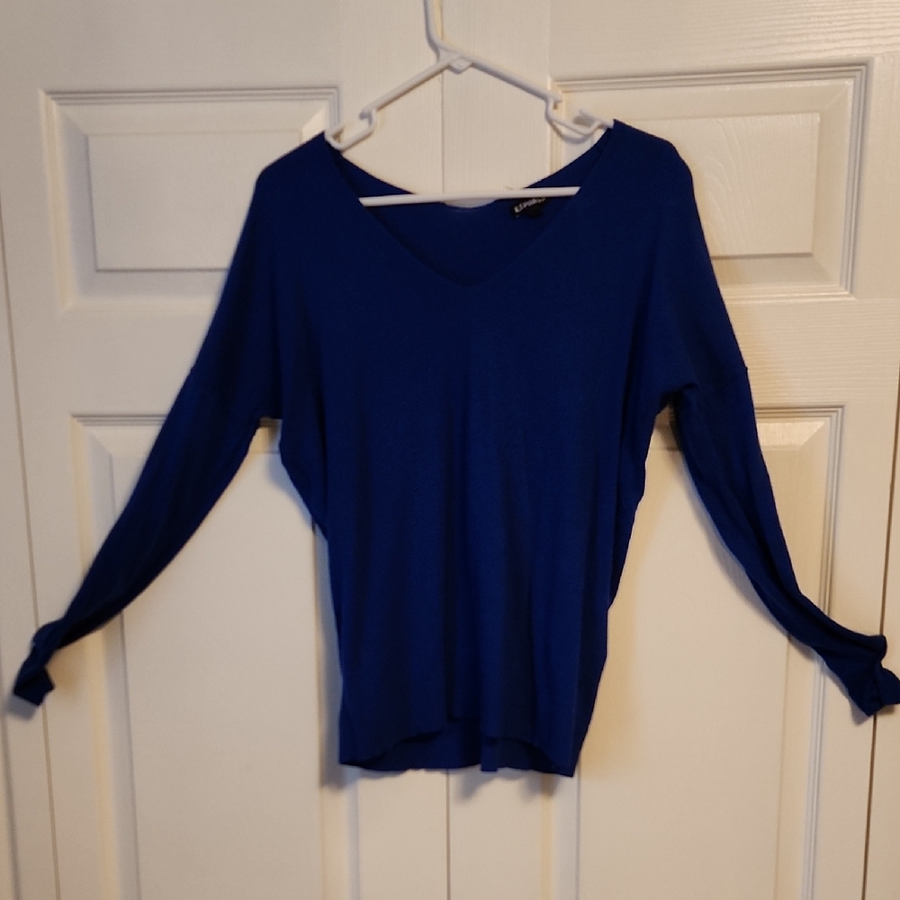 Express Royal Blue V-Neck Long Sleeve Top
